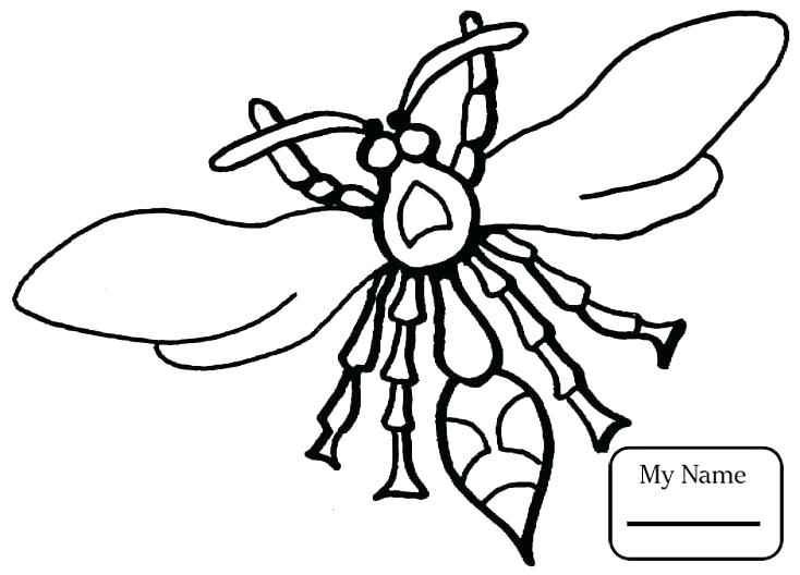 734x528 Insects Coloring Pages Insects Coloring Wasp Wasp Insects Coloring