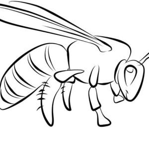 300x300 Online Free Coloring Pages For Kids