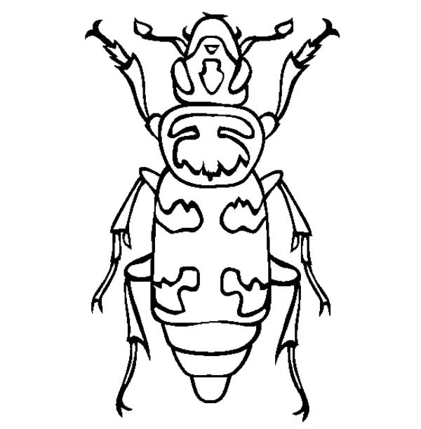 600x612 Wasp Mimic Beetle Coloring Pages Best Place To Color