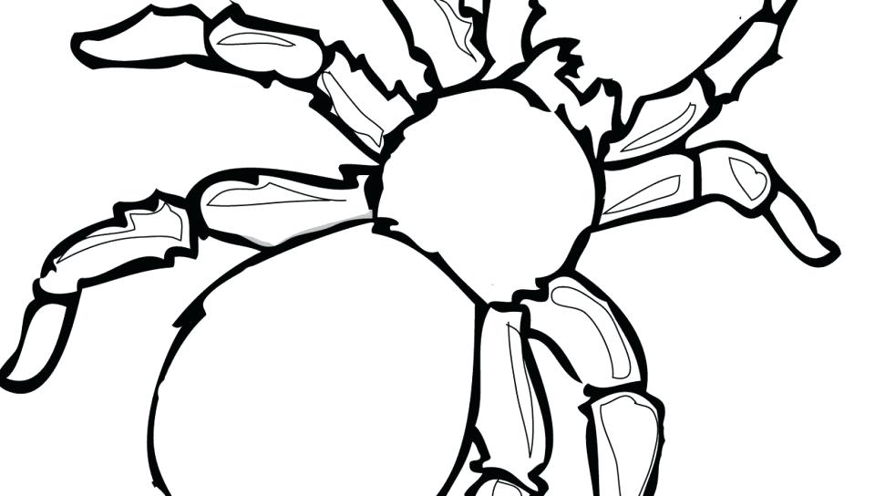 960x544 Yellow Jacket Coloring Page Yellow Coloring Page Rainbow Coloring