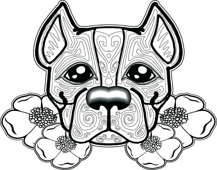 736x575 Dogs Coloring Pages Coloring Pages For Dogs Dog Coloring Pages