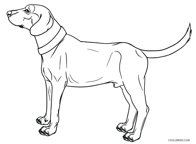 800x589 Dogs Coloring Pages Realistic Dog Coloring Pages Watch Dogs
