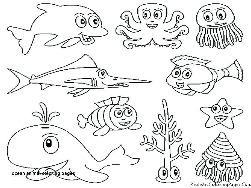 863x647 Sea Animals Coloring Pages Top Rated Coloring Pages Of Sea Animals