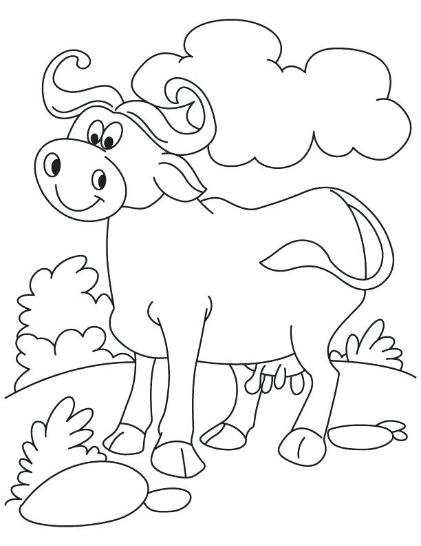 612x792 Buffalo Coloring Pages Cool N Relaxed Buffalo Coloring Page