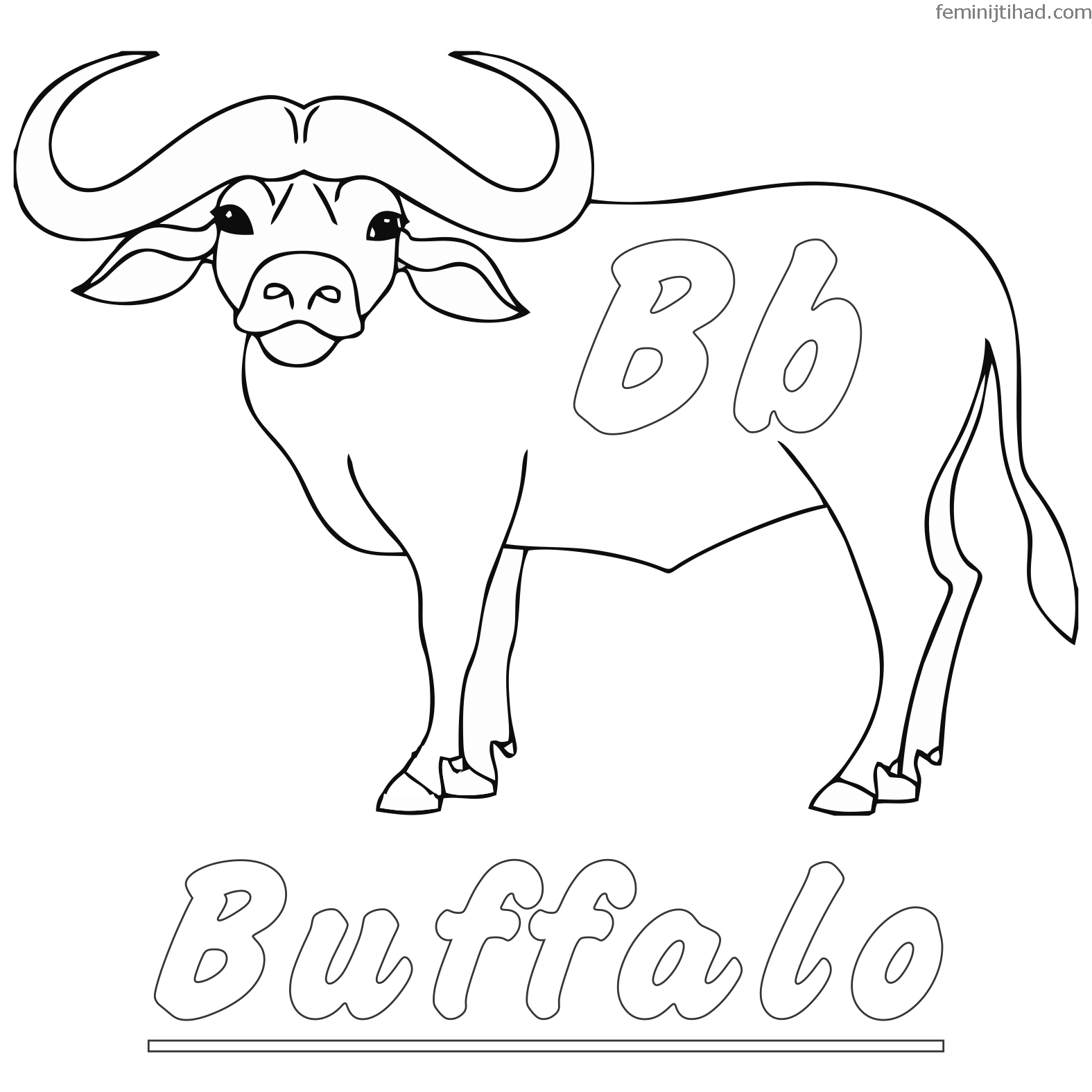 1575x1575 Fantastisch Buffalo Coloring Page Bilder