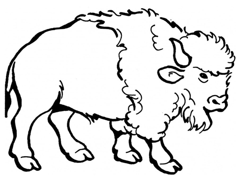 1024x768 Water Buffalo Coloring Page Free Printable Pages