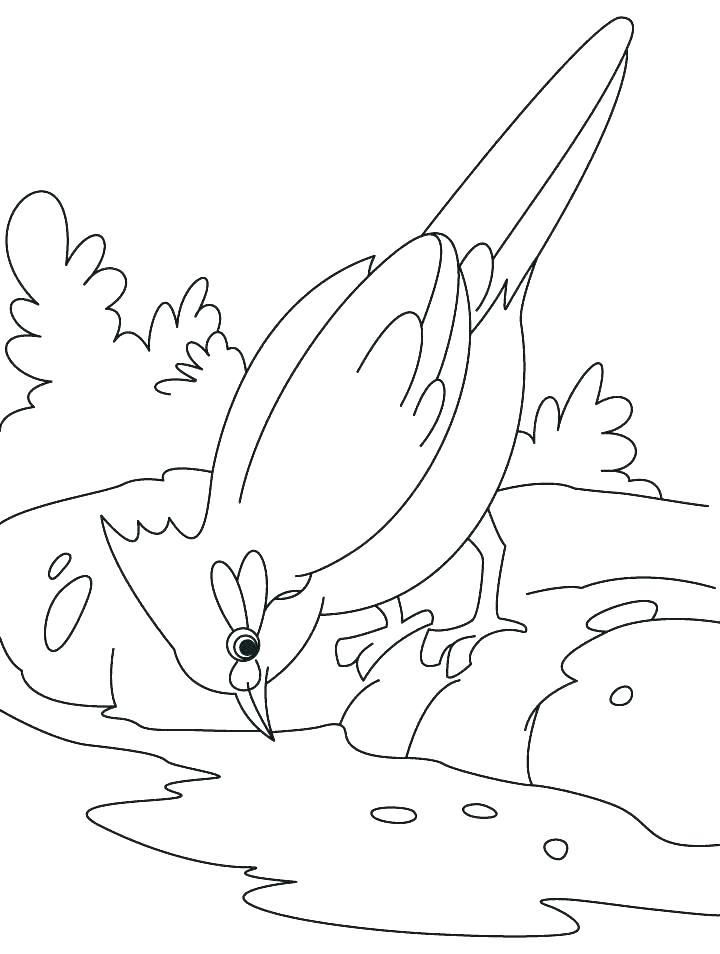 720x954 Water Conservation Coloring Pages