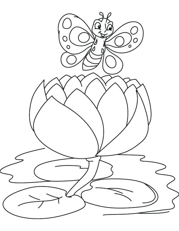 612x792 Lily Pad Coloring Page Lily Coloring Pages Butterfly On A Big