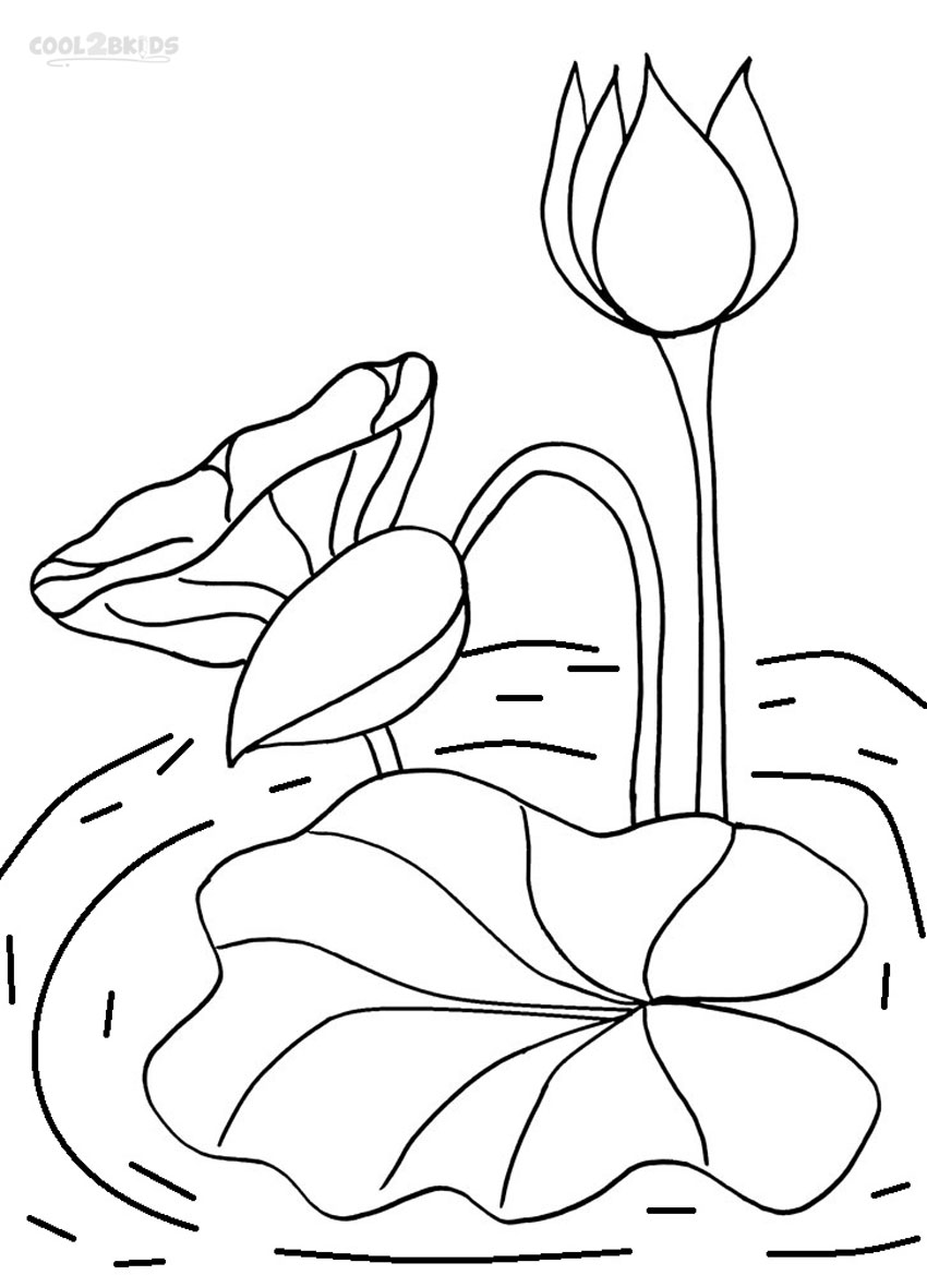 850x1169 Printable Lily Pad Coloring Pages For Kids