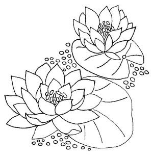 300x308 Water Lilies Coloring Page Free Flowers Coloring Book