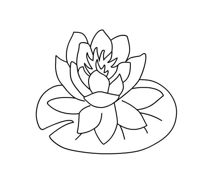 Water Lily Coloring Page at GetDrawings | Free download