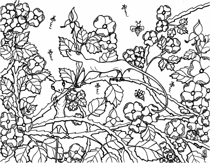 677x526 Color Sheets Watercolor Coloring Is Not Just For Kids Anymore Free