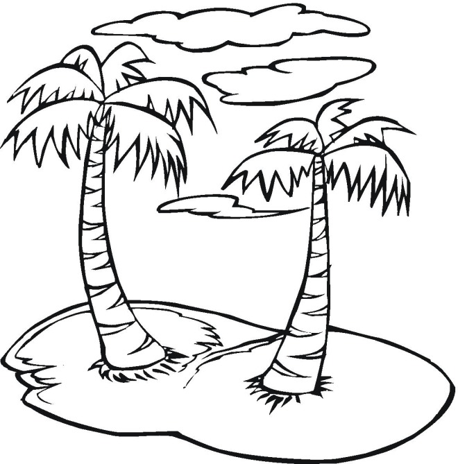 660x669 Palmtree Coloring Page