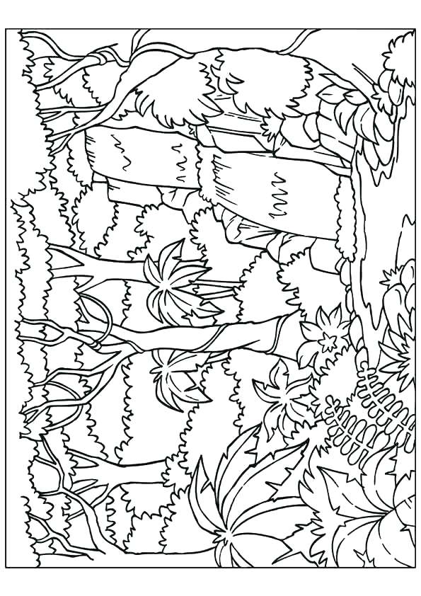595x842 Waterfall Coloring Page Little Waterfall Coloring Page Rainbow
