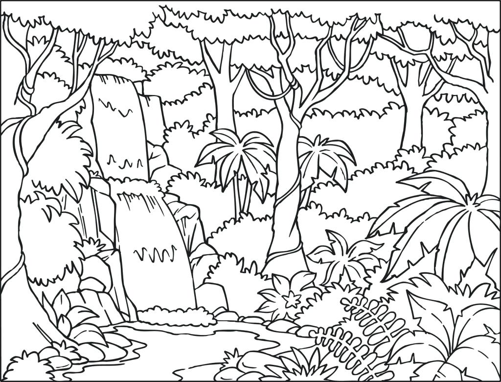 1024x780 Drawn Jungle Landscape Pencil And In Color Rainforest Waterfalls