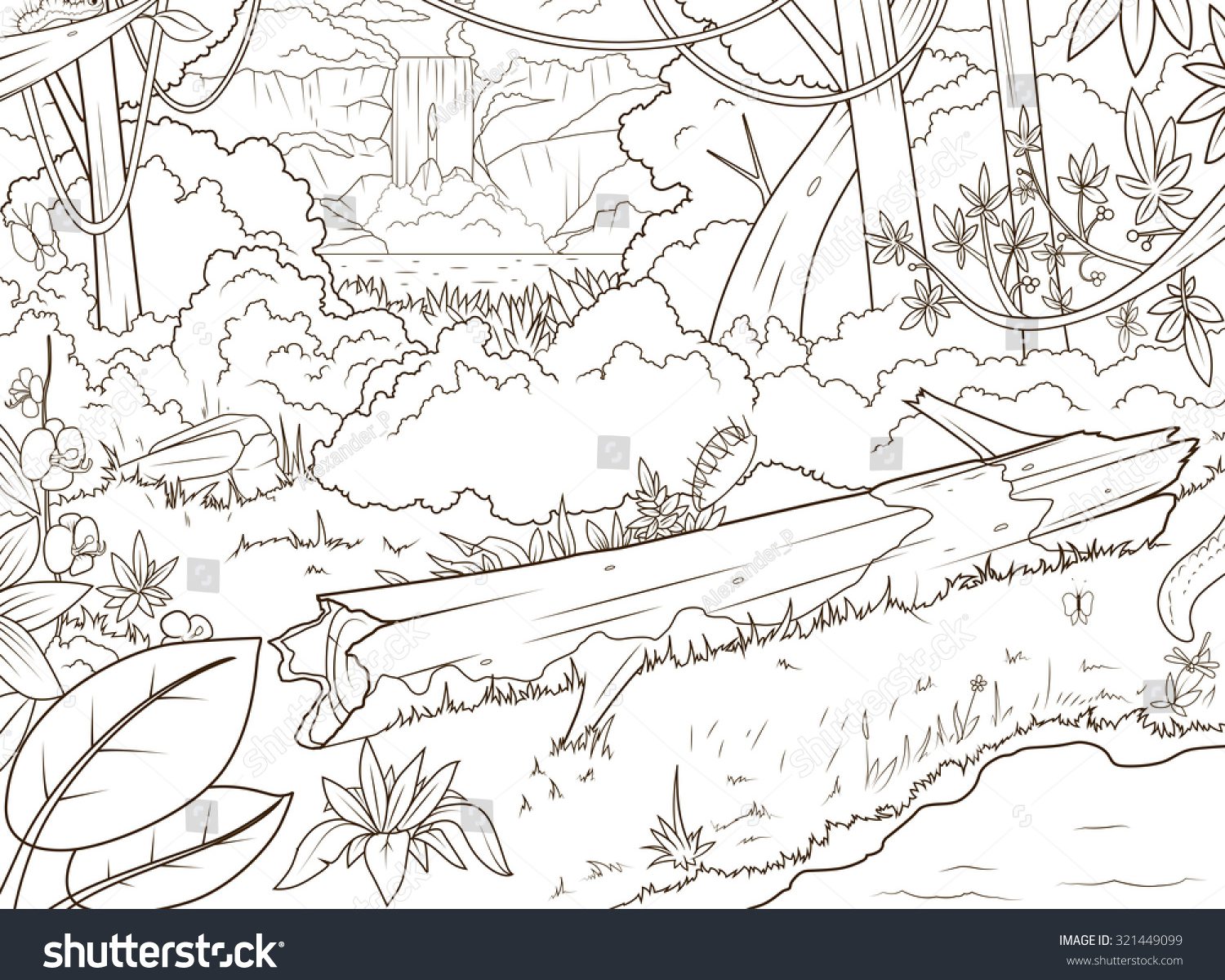 1500x1200 Jungle Forest Waterfall Coloring Book Cartoon Stock Beautiful