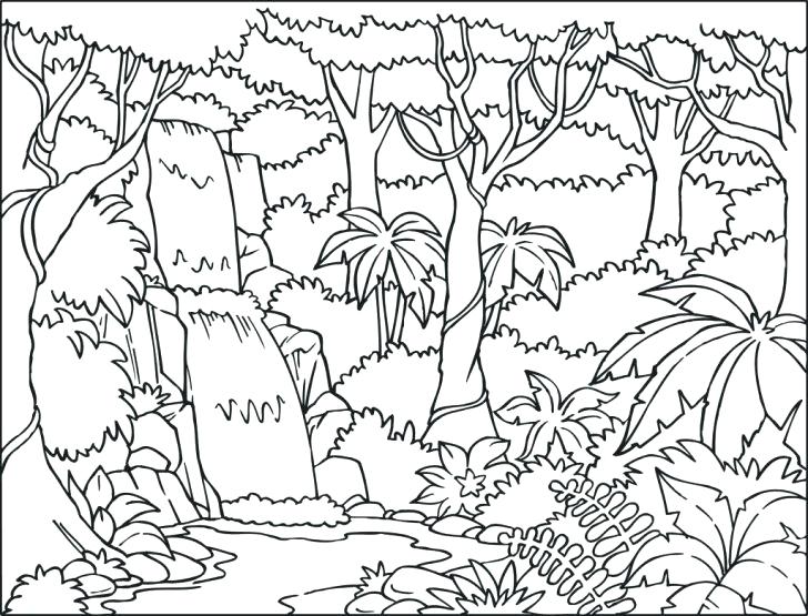 728x555 Waterfall Coloring Page Jungle Tree Coloring Page Forest Trees