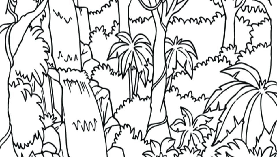960x544 Coloring Pages Of Nature Coloring Pages Nature In Waterfall