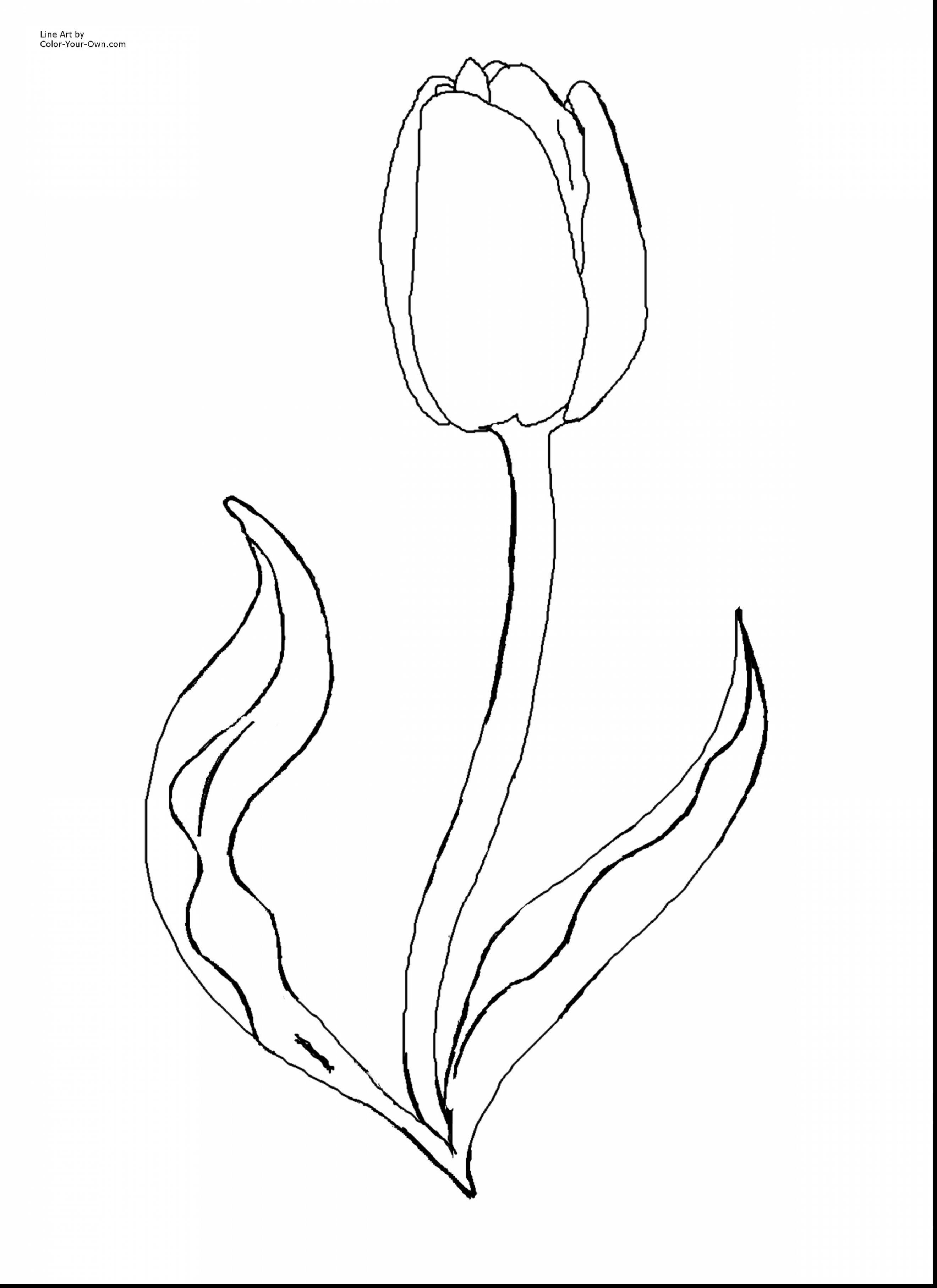 2640x3630 Flower Watering Can Coloring Pages