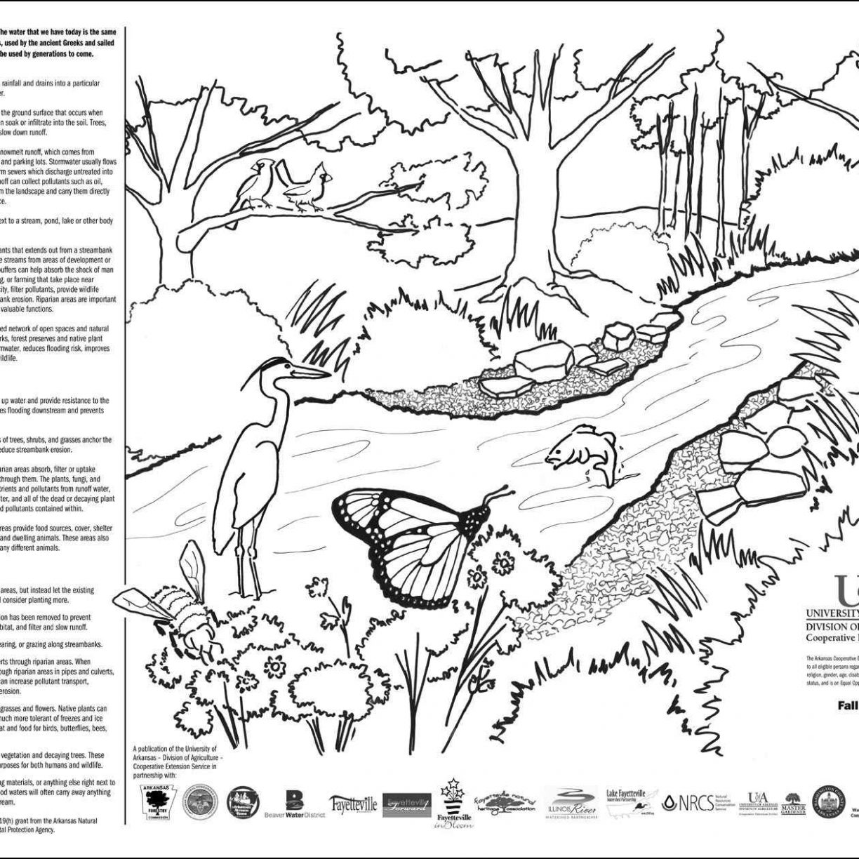 1224x1224 Garden Coloring Pages In Diaet Me Incredible Free Of Gardens