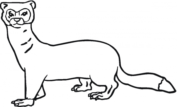 700x422 Weasel Clipart Craftsart Zoo Phonics, Phonics