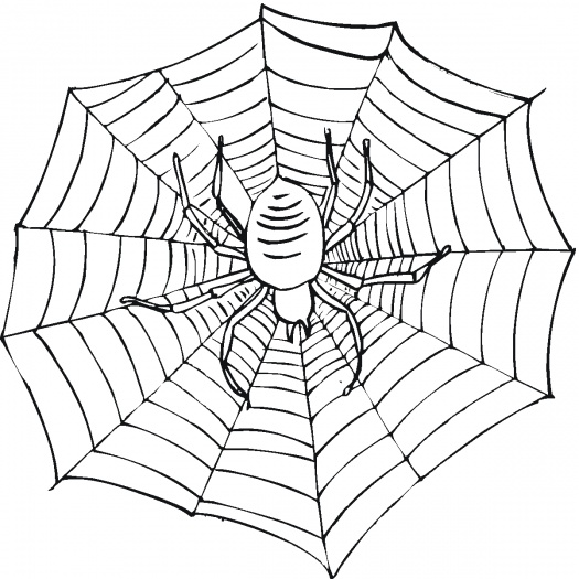 525x525 Spider Web Coloring Page