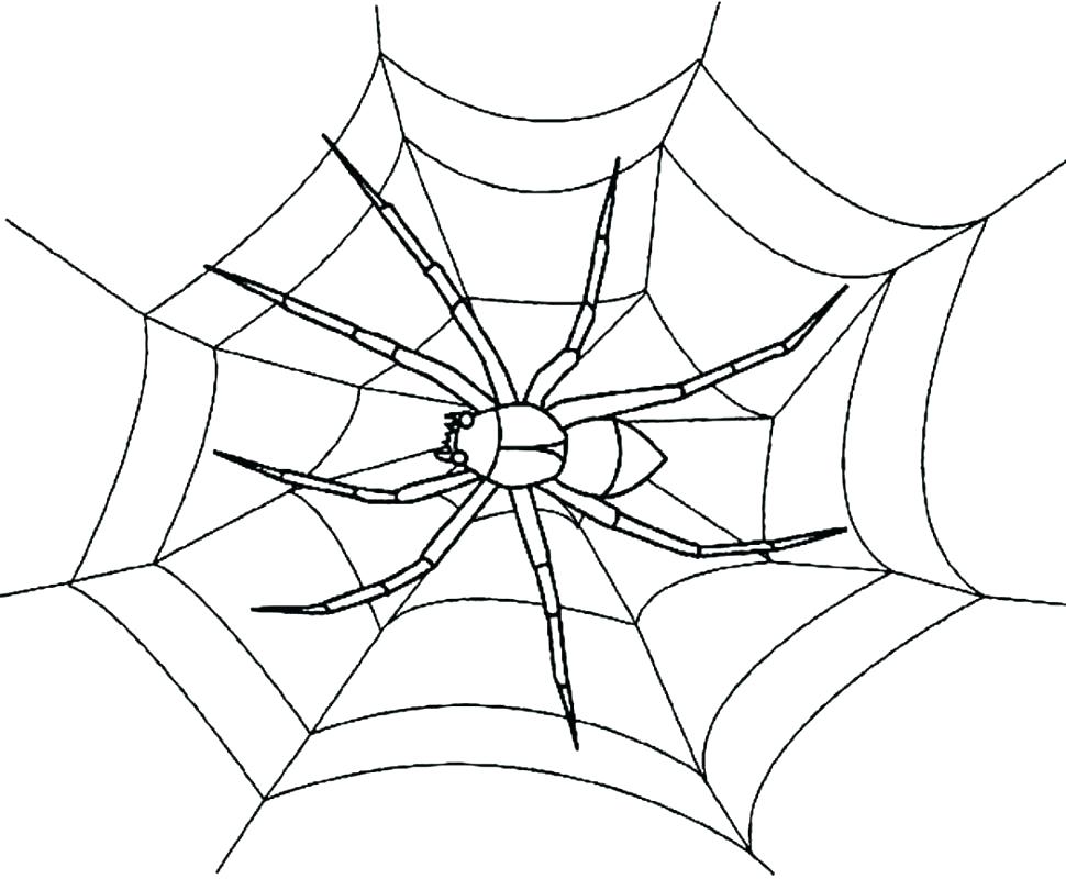 970x800 Spider Web Coloring Pages Spider Web Coloring Pages Large Size