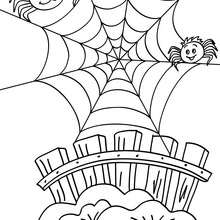 220x220 Spider On Its Web Coloring Pages