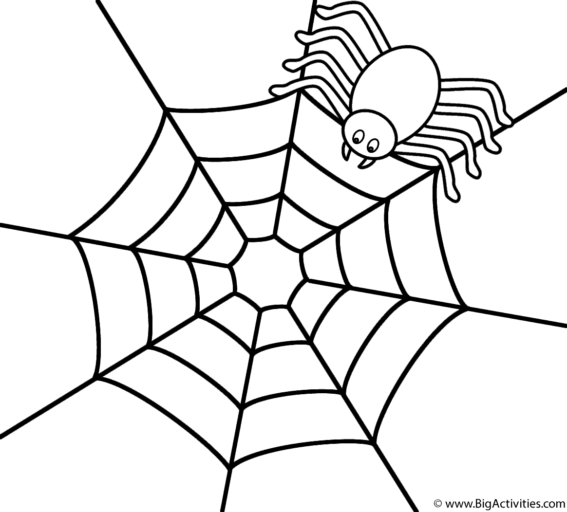 1164x1052 Spider On Top Of Web Coloring Page Insects Spider Coloring Page