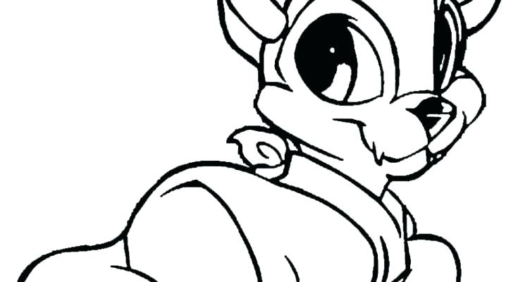 735x400 Webkinz Coloring Pages