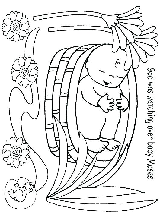 540x720 Webkinz Cat Coloring Pages Printable Coloring Coloring Pages