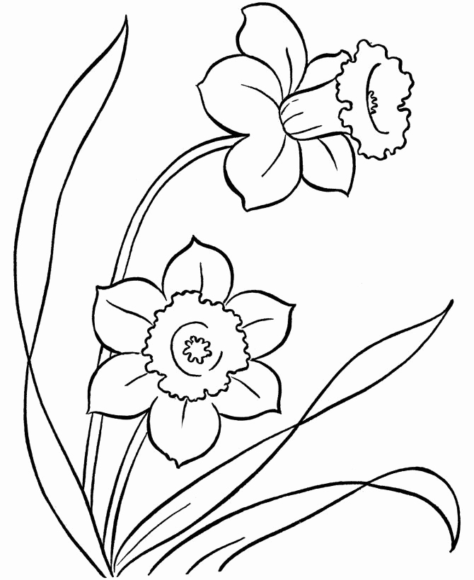 670x820 Fantastic Wedding Coloring Pages For Kids Wedding Bouquet