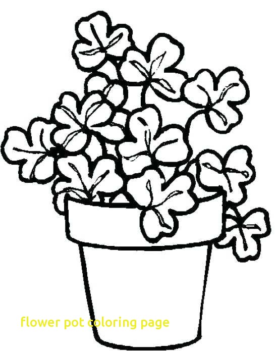 551x695 Flower Pot Coloring Page