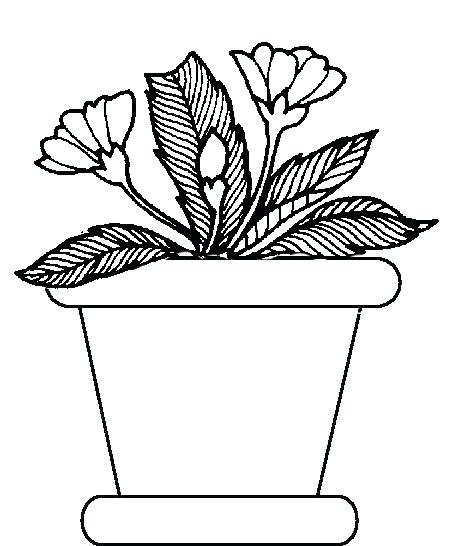 467x546 Plants Coloring Pages Growing Plants Growing Coloring Page Ocean