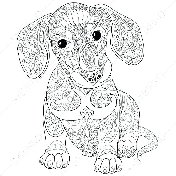 570x570 Dachshund Coloring Pages As Well As Dachshund Coloring Pictures