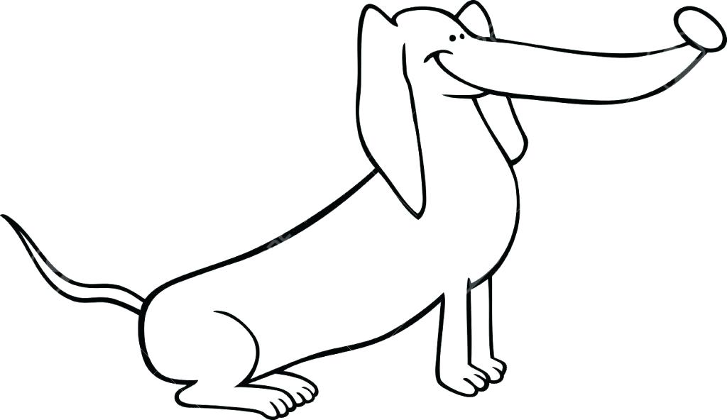 1024x592 Hot Dog Coloring Pages Hot Dog Coloring Page Dachshund Pages