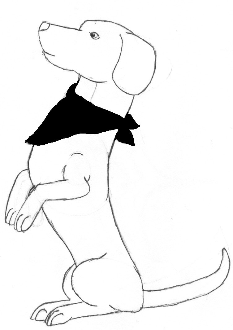 753x1065 Dog Drawing Dachshund Outline Wiener Dog Silhouette Cute Weiner