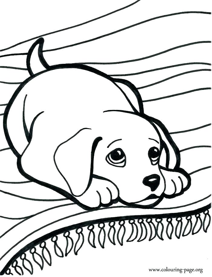 700x912 Awesome Weiner Dog Coloring Pages Dogs Coloring Page Best Puppy