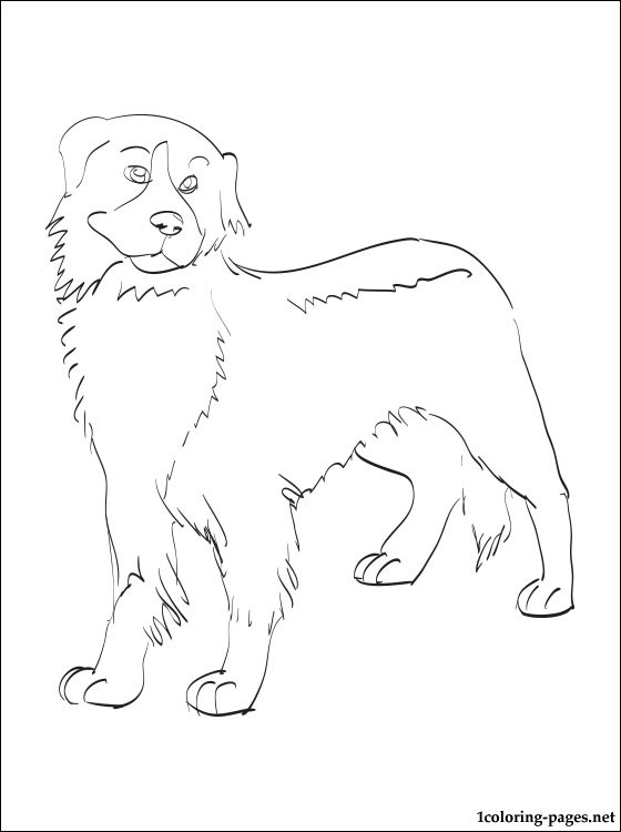 560x750 Dog Breeds Coloring Pages