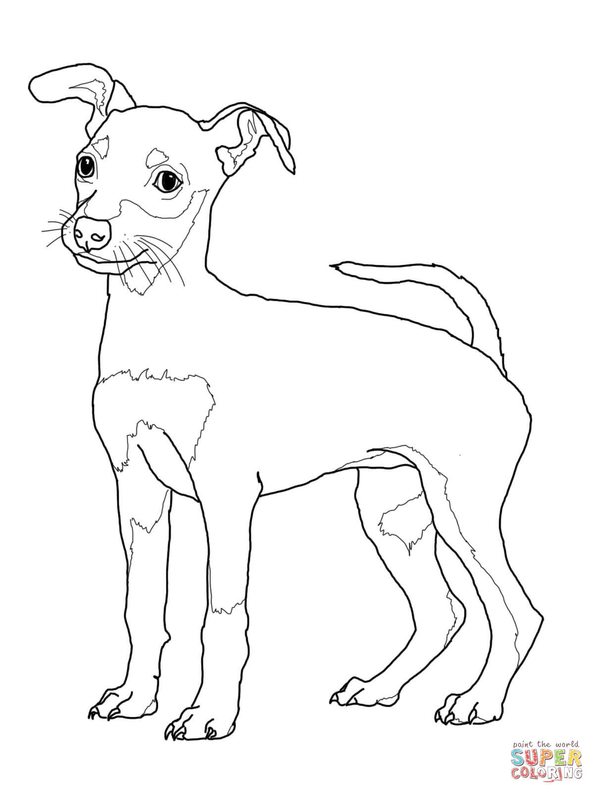 1200x1600 Dachshund Dog Coloring Page Free Printable Pages Unusual