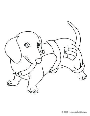 364x470 Dachshund Puppy From Wiener Dog Coloring Pages