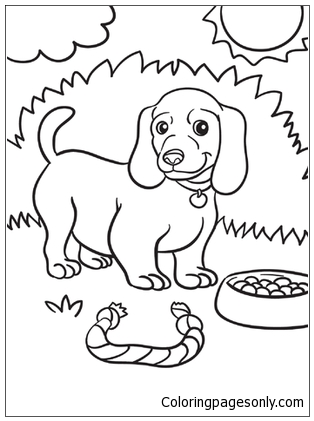 314x421 Weiner Dog Puppy Coloring Page