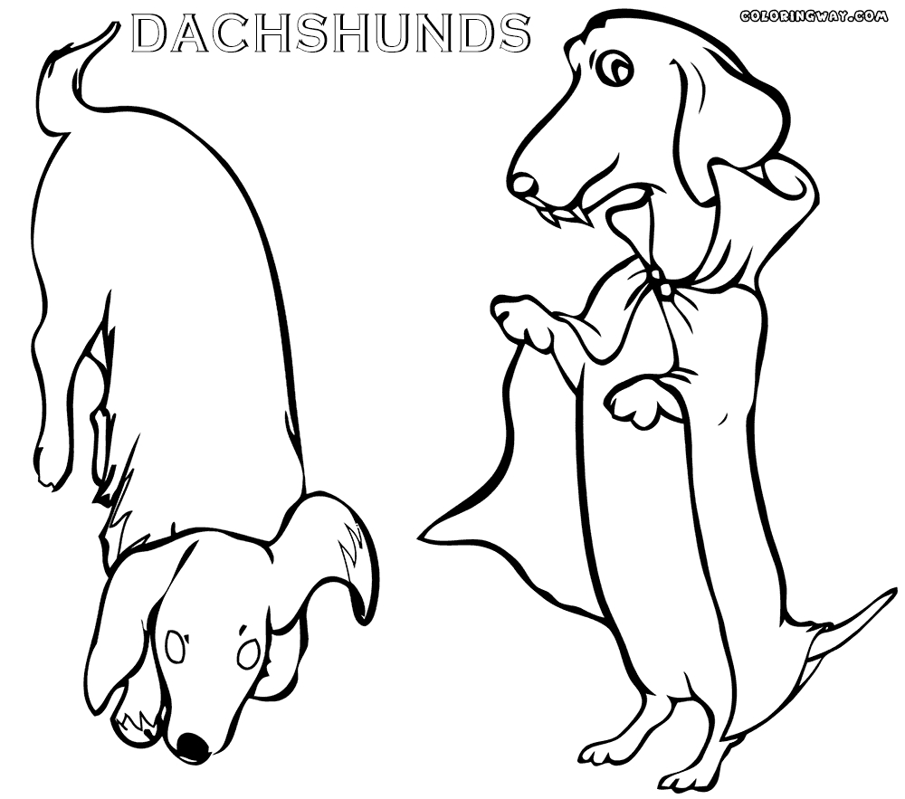 1000x883 Dachshund Cartoon Free Download Clip Art On Lovely Wiener Dog