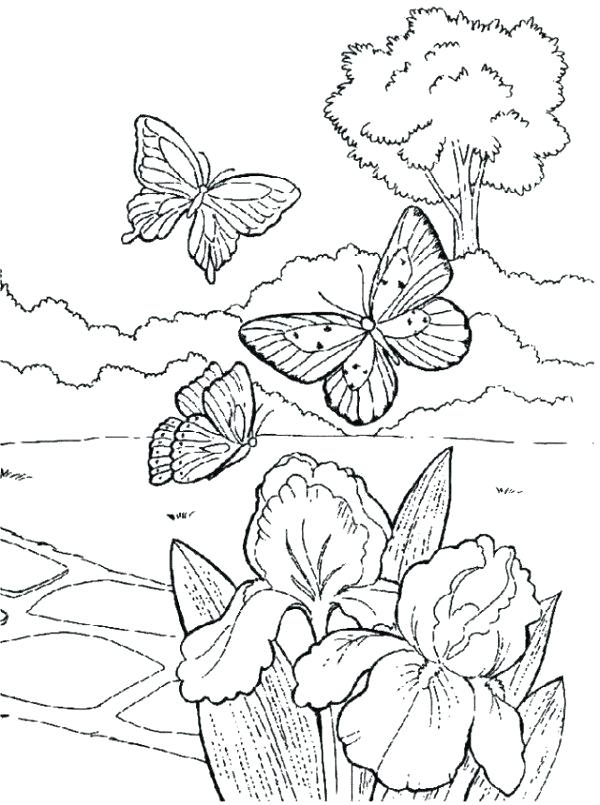 600x805 Welcome To Kindergarten Coloring Page First Day Of School Coloring
