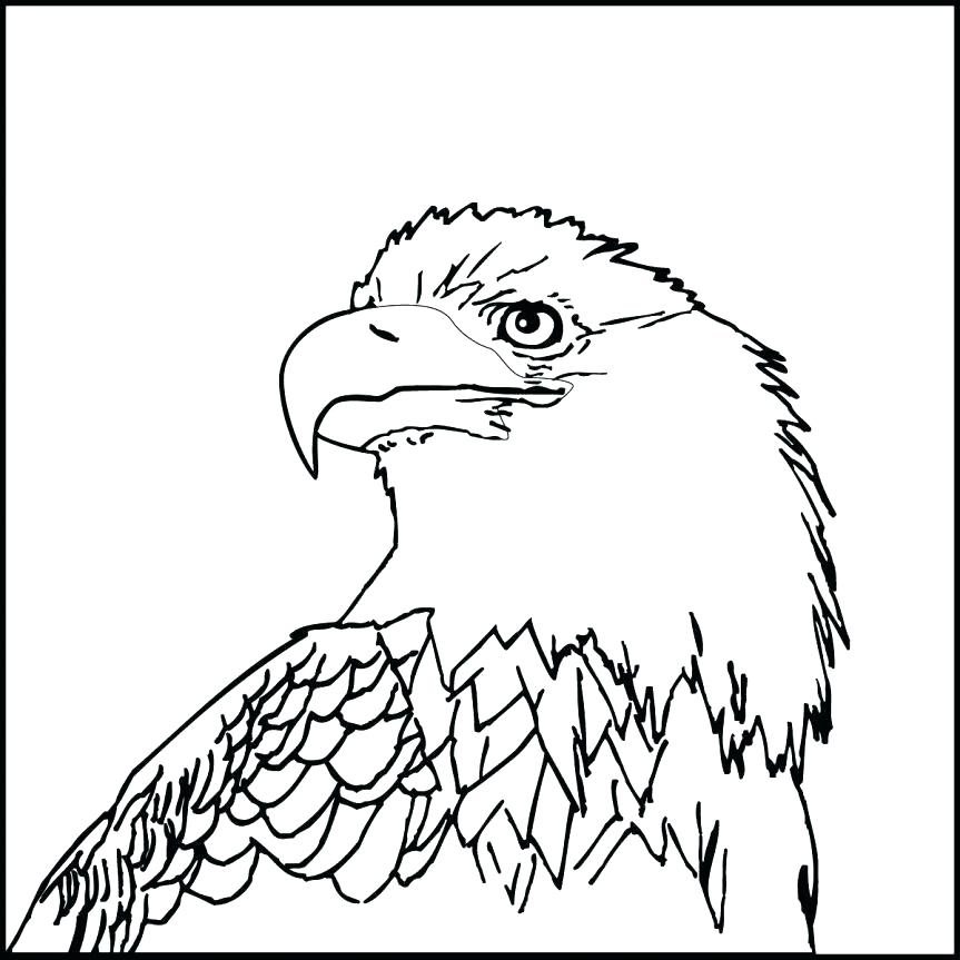 863x863 Coloring Pages Of Eagles Bald Eagle Head Coloring Page Free