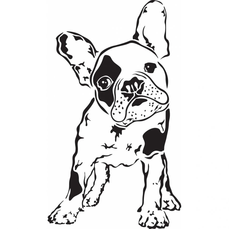 869x869 Coloring Pages Bostonier Color Page Printable Puppy Boston Terrier