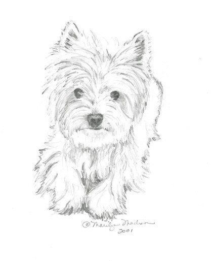 419x514 Best Cairn Terriers Images On Cairn Terrier, Cairn