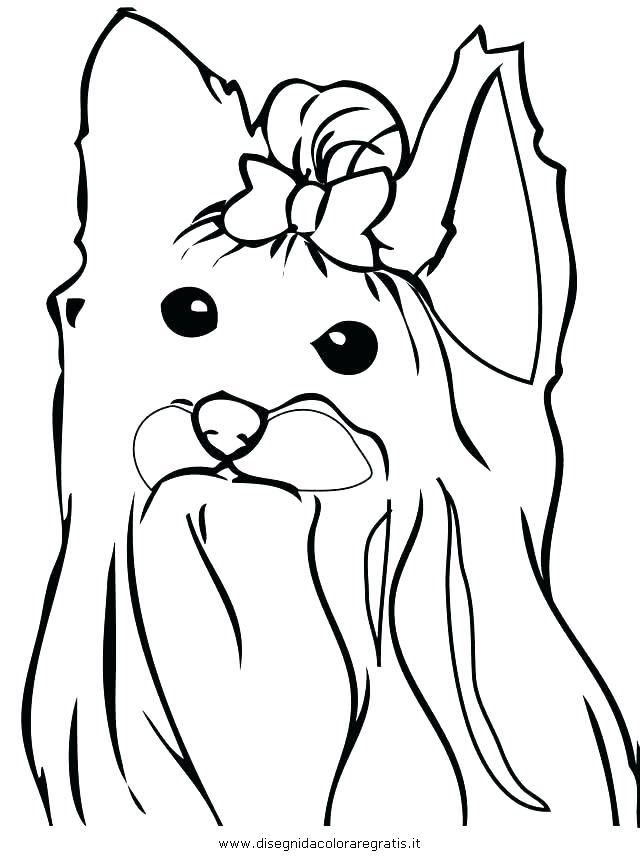 640x860 Terrier Coloring Page Bell Terrier Coloring Page Yorkie Puppy