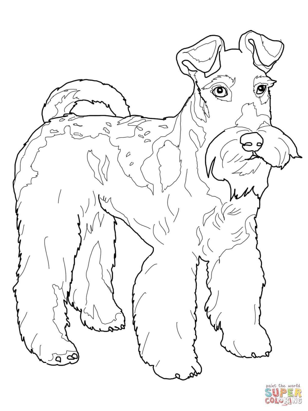 1200x1600 Astonishing Boston Terrier Coloring Printable Pict Of Page Trends