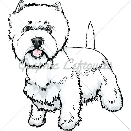 500x500 Westie Coloring Pages Digital Stamp West Highland Terrier Westie